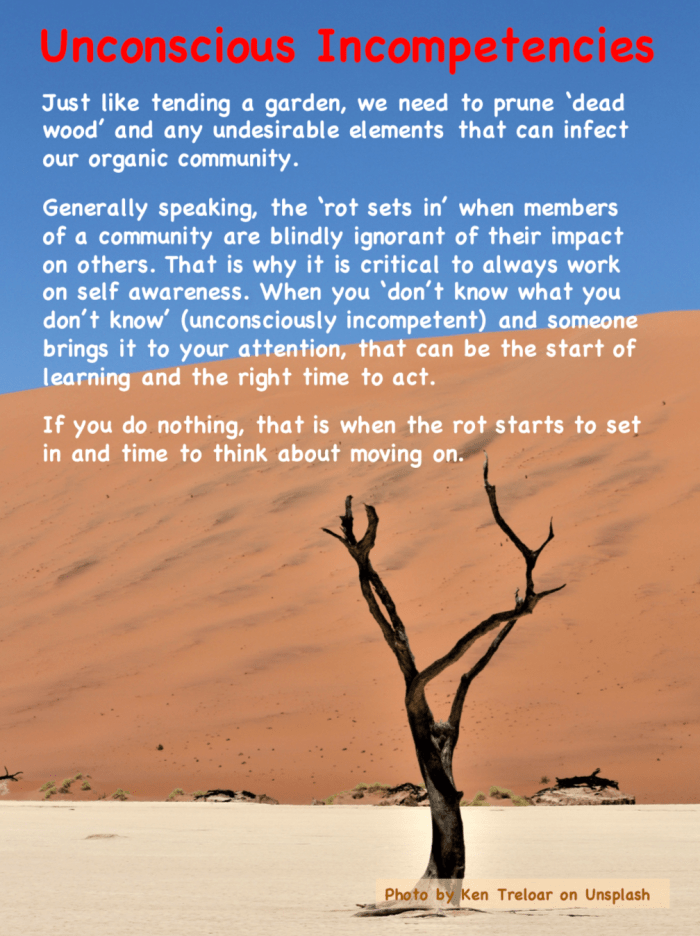 Screen Shot 2018-02-25 at 1.46.57 pm